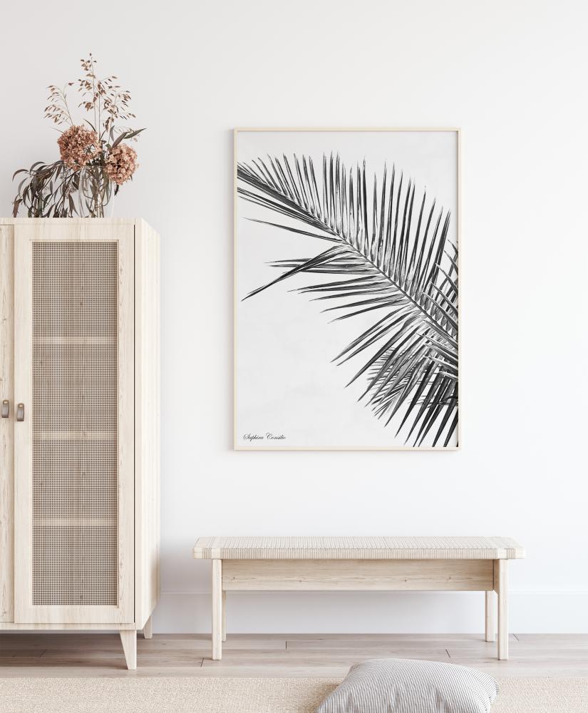 Bildverkstad Black palm Poster