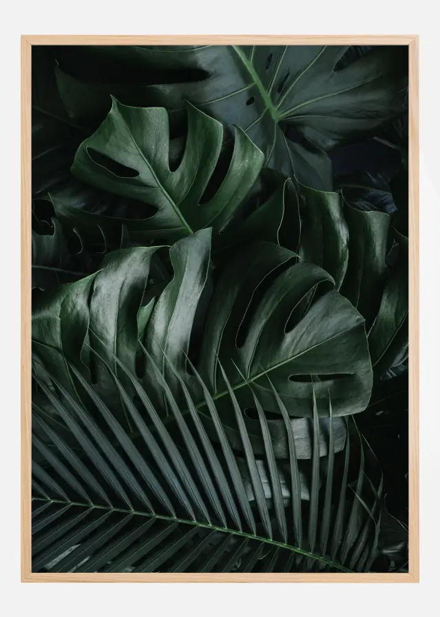 Bildverkstad Monstera Plant II Poster