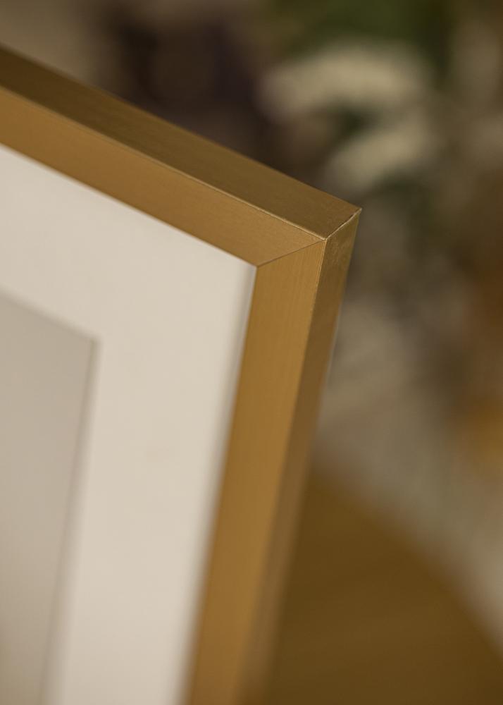 Ram med passepartou Frame Selection Gold 60x60 cm - Picture Mount White 50x50 cm