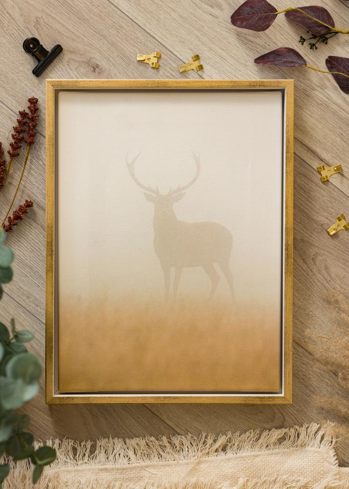 Ramverkstad Ra Canvas Frame White/Gold - Various Sizes