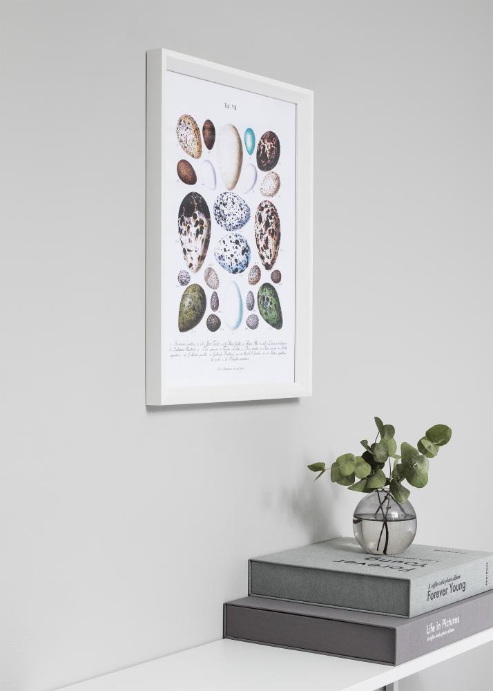 Ram med passepartou Frame Globe White 60x90 cm - Picture Mount Black 50x80 cm