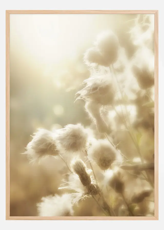 Bildverkstad Fluffy flowers Poster