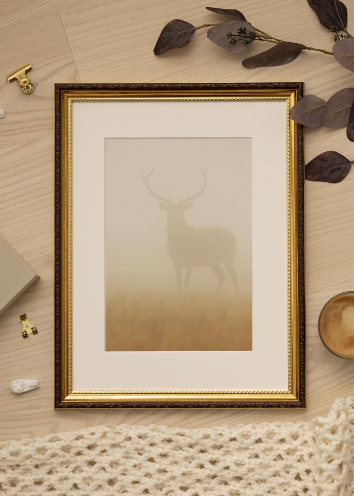 Ram med passepartou Frame Abisko Gold 50x70 cm - Picture Mount White 16x24 inches