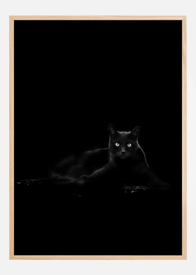 Bildverkstad Cat Poster