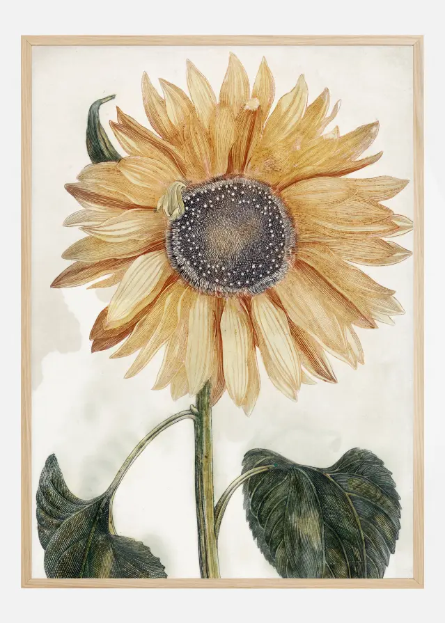 Bildverkstad Sunflower Art Poster