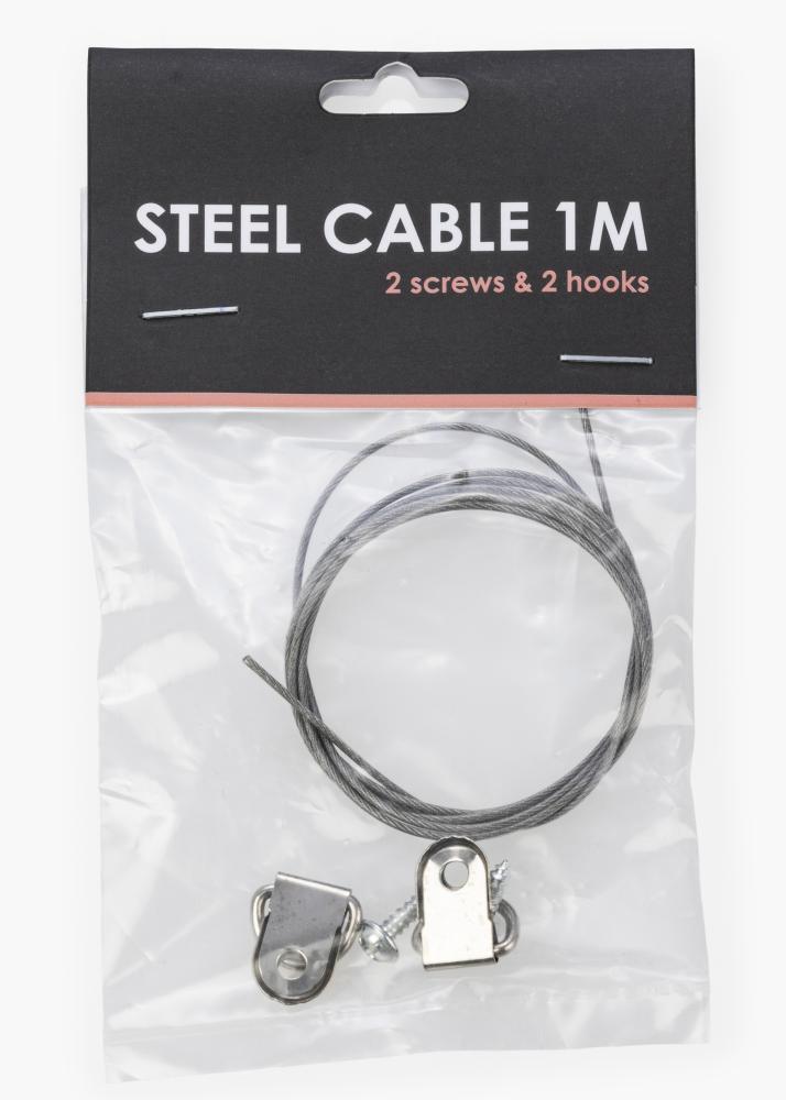 BGA BGA Steel cable 1m + 2 screws & 2 hooks