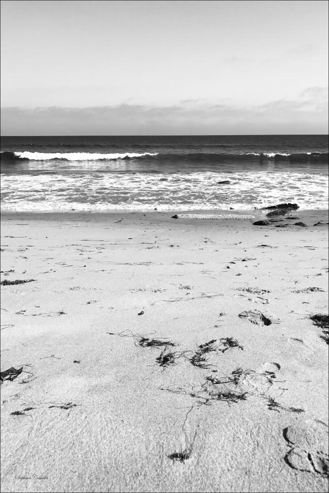 Bildverkstad Malibu Beach sand Poster