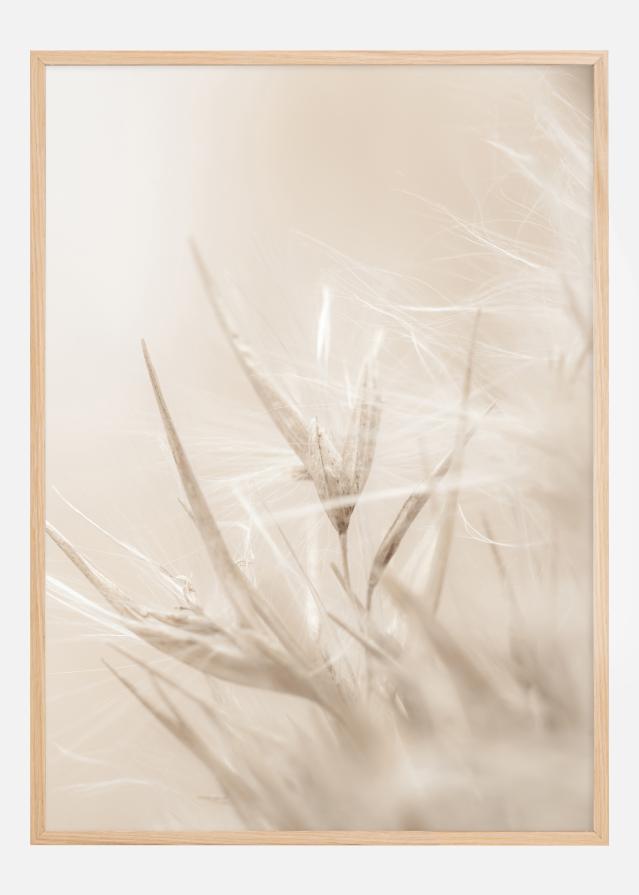 Bildverkstad Beige Dried Straws l Poster