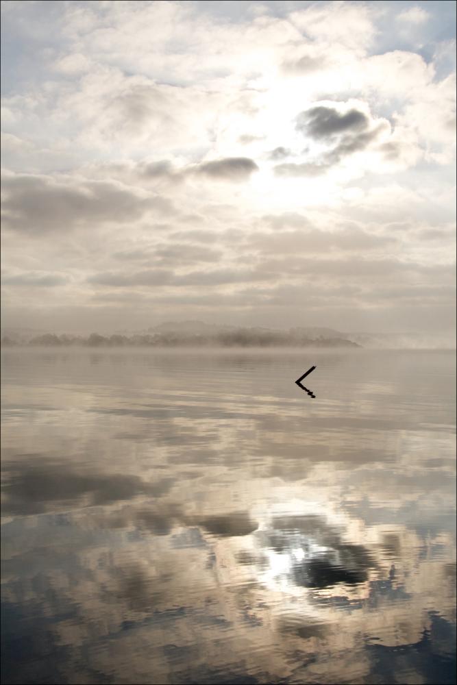 Bildverkstad Morning fog Poster