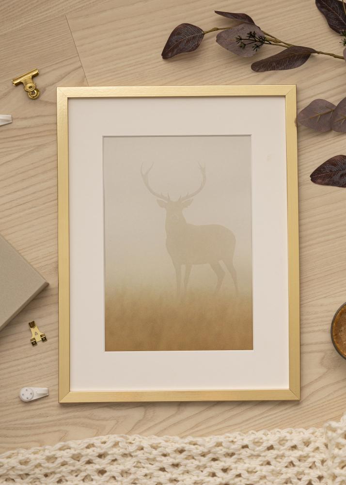 Ram med passepartou Frame Trendy Gold 40x40 cm - Picture Mount White 25x25 cm