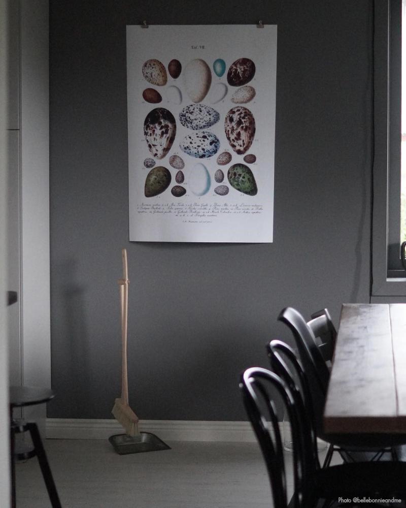 Bildverkstad Bird egg chart Poster