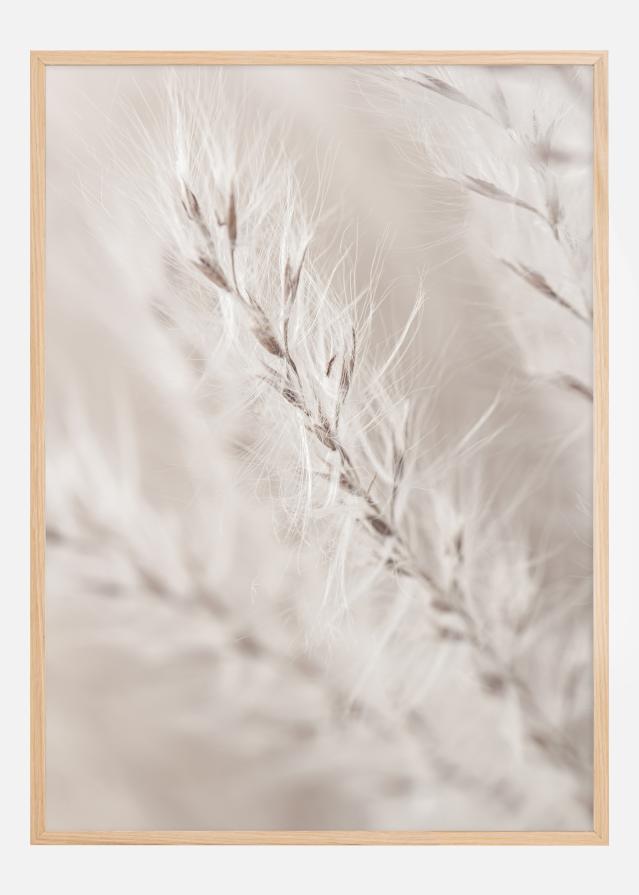 Bildverkstad Beige Dried Straws lll Poster