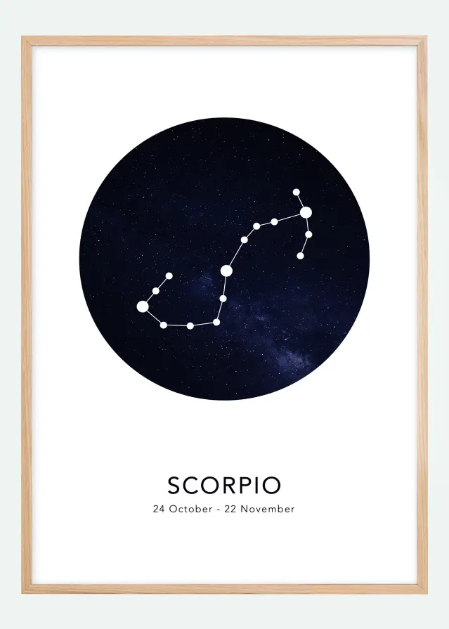 Bildverkstad Scorpio Poster