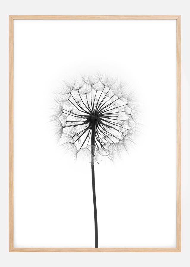 Bildverkstad Dandelion Poster