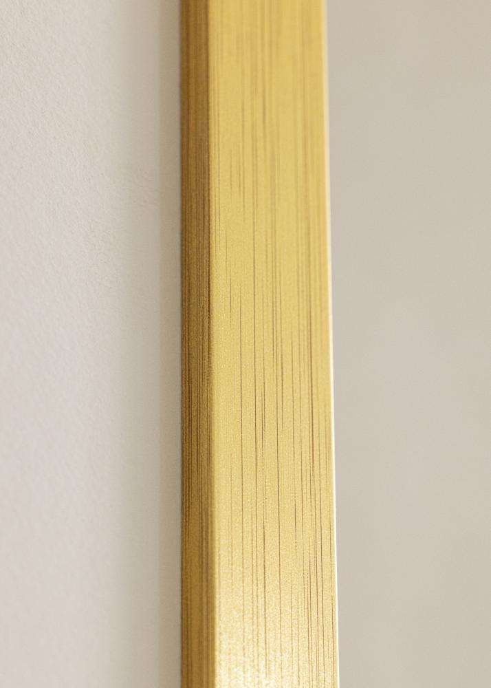 Galleri 1 Frame Gold Wood Acrylic glass 30x45 cm