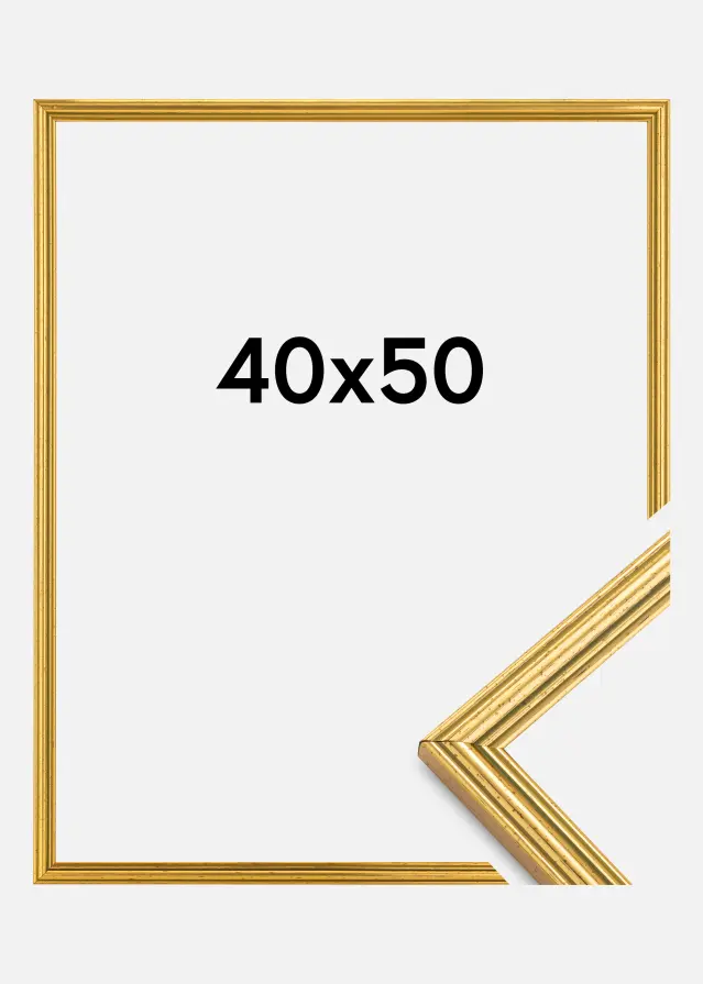 Estancia Frame Classic Gold 40x50 cm