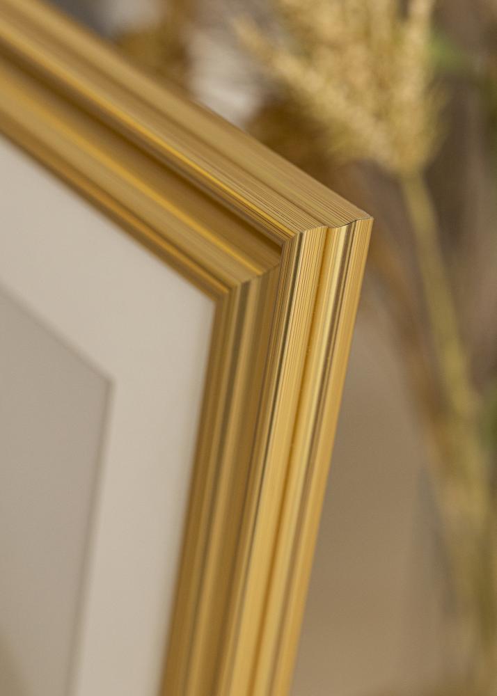 Focus Frame Charleston Gold 18x24 cm