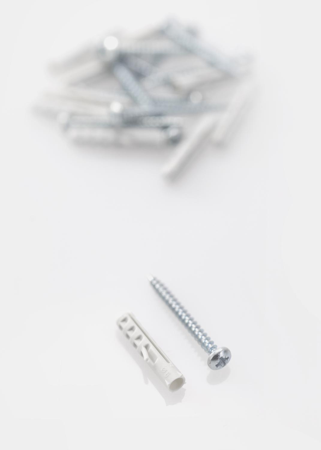 Product Image for Plug 25 x 5.5 mm with screw 10 pack