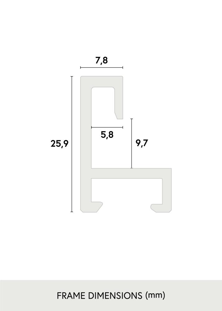 Nielsen Frame Nielsen Premium Alpha Glossy Silver 84,1x118,9 cm (A0)