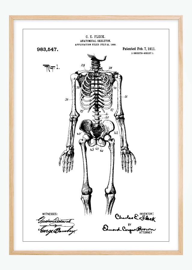 Bildverkstad Patent drawing - Anatomical Skeleton I Poster