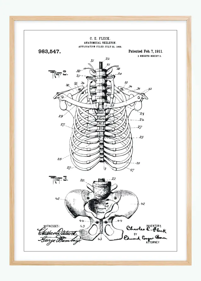 Bildverkstad Patent drawing - Anatomical Skeleton II Poster