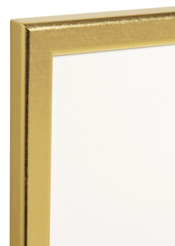 HHC Distribution Frame Slim Matt Anti-reflective glass Gold 20x30 cm