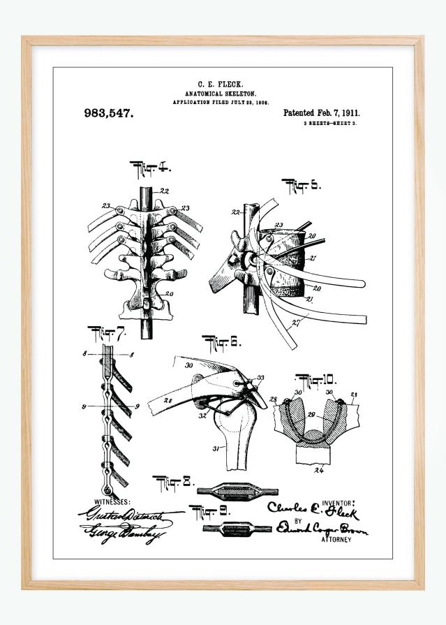 Bildverkstad Patent drawing - Anatomical Skeleton III Poster