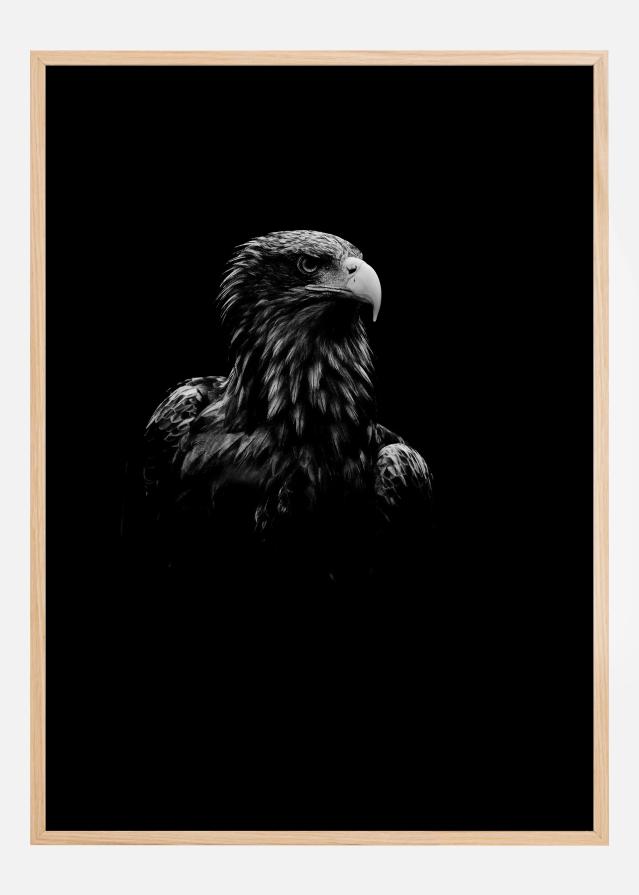 Bildverkstad Black Eagle Poster