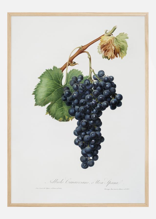 Bildverkstad Grapes Poster