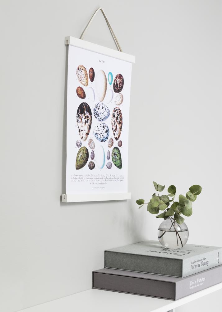 Focus Poster hangers White - 20 cm