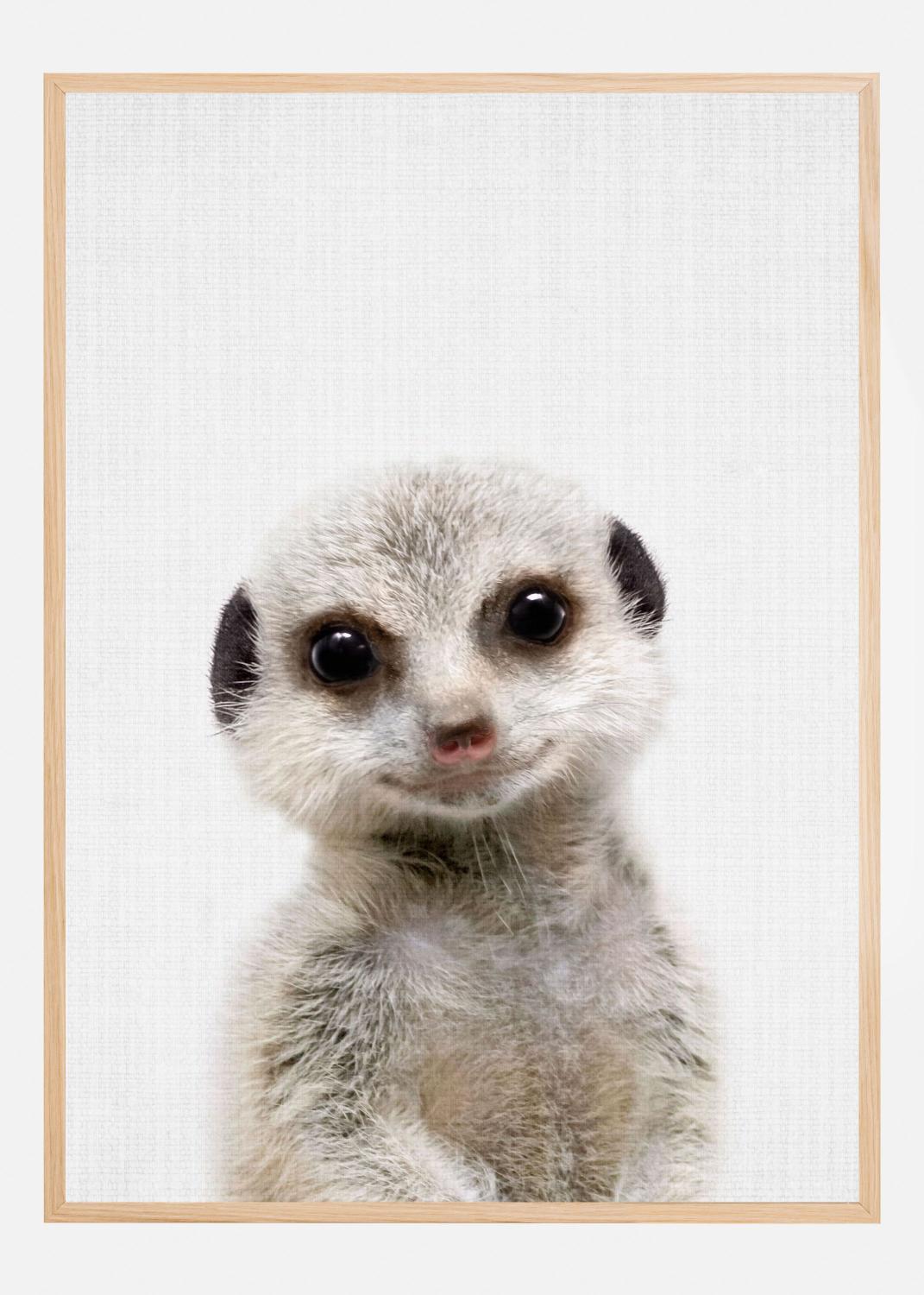 Product Image for Peekaboo Baby Meerkat Poster (21x29.7 cm (A4))