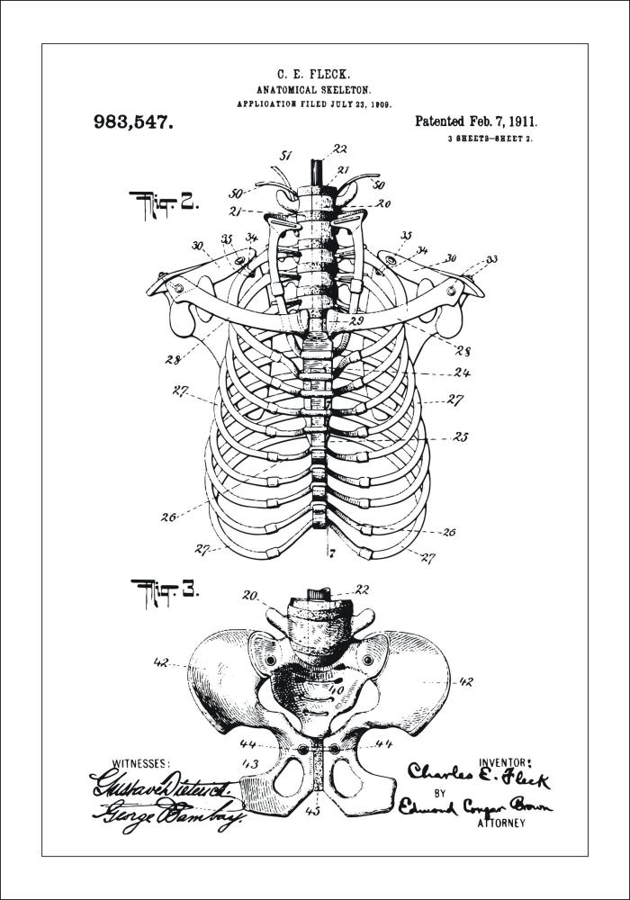 Bildverkstad Patent drawing - Anatomical Skeleton II Poster