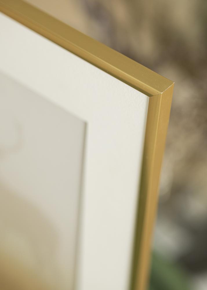 Ram med passepartou Frame New Lifestyle Shiny Gold 60x80 cm - Picture Mount White 50x70 cm